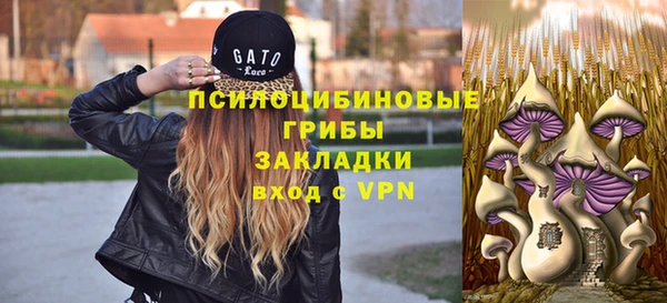 прущие крисы Алексин