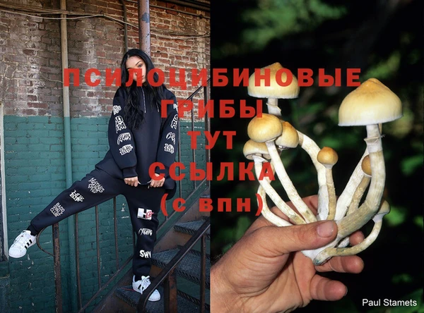 экстази Алзамай